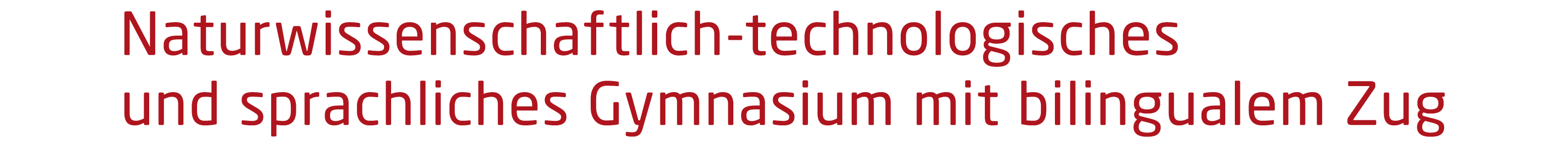 Naturwissenschaftlich-technologisches und sprachliches 
		Gymnasium mit bilingualem Zug